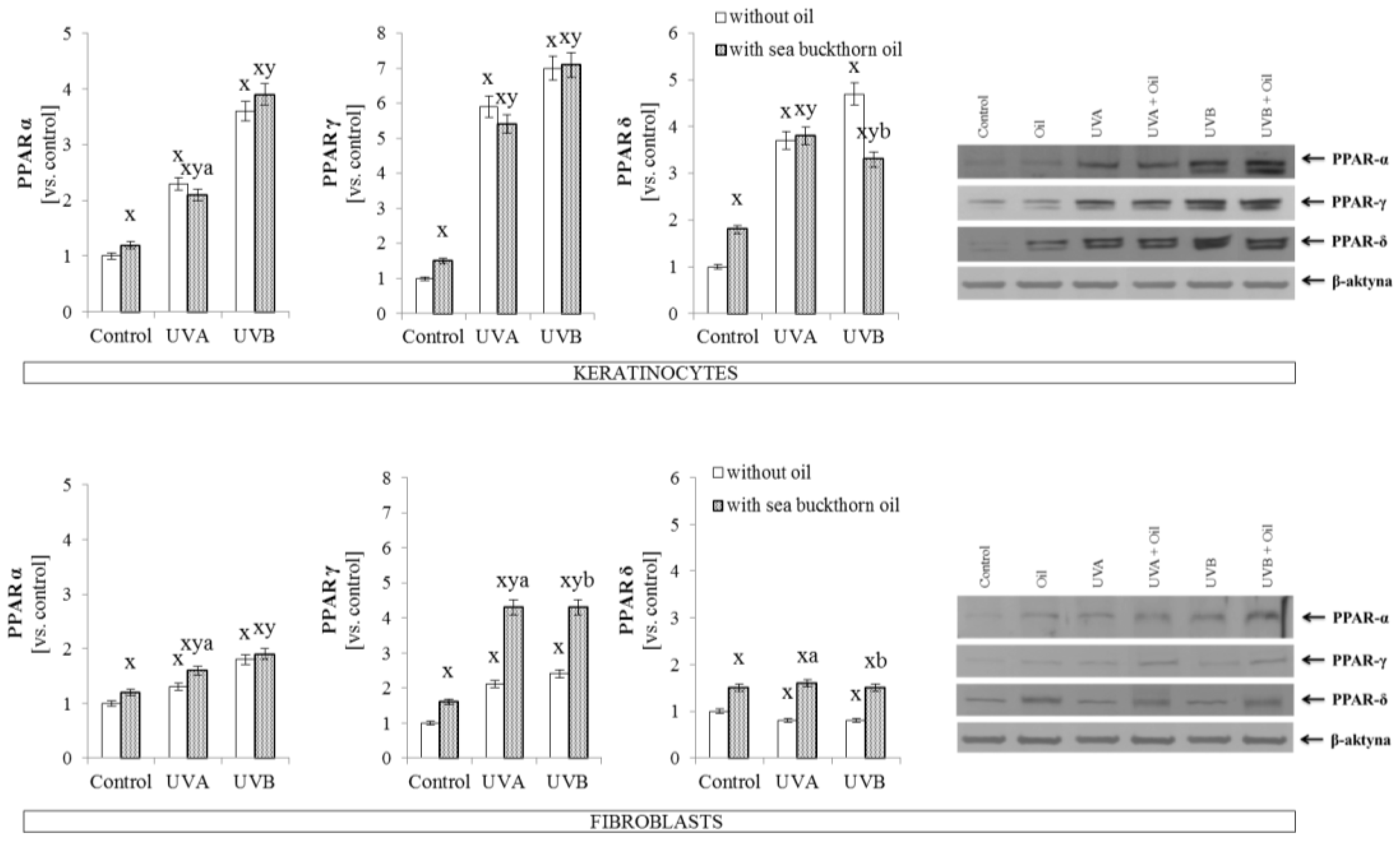 PPARα, γ, δ expression in UV-exposed keratinocytes and fibroblasts with sea buckthorn seed oil treatment.